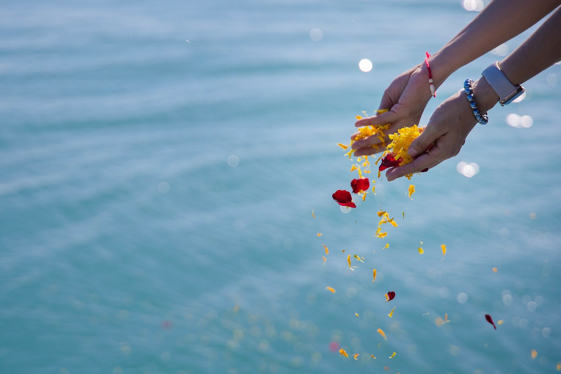 Shikoku Ocean Scatter